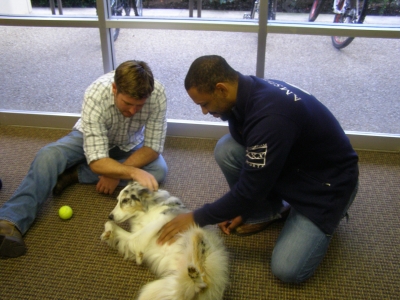 Two male students pet a dog lying on the ground with a tennis ball nearby