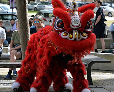 Students performing a lion dance during Lunar New Year celebration